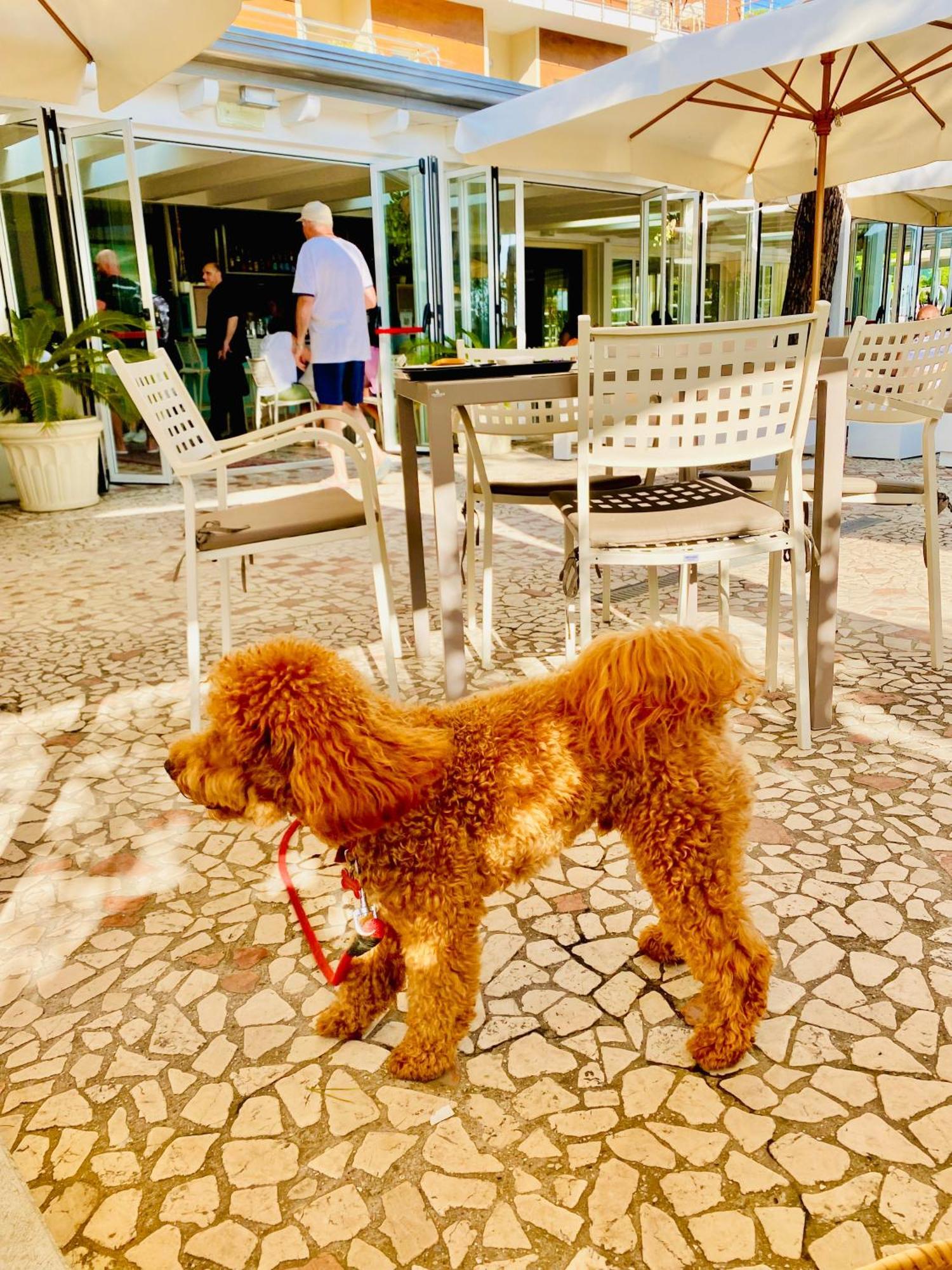 Hotel Franca Milano Marittima Esterno foto